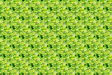 Havai Aloha gömleğinin pürüzsüz desenli beyaz, yeşil ve sarı renklerde kusursuz tasarımı. Raster illüstrasyonu.