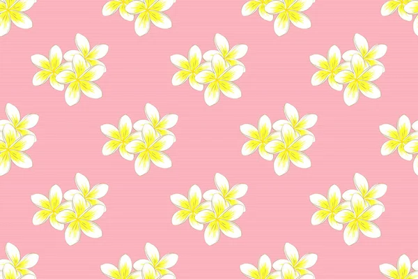 Raster Bezszwowy Kwiatowy Wzór Kwiatami Plumerii Liści Elementów Dekoracyjnych Plusk — Zdjęcie stockowe