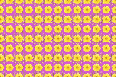 Raster illüstrasyonu. Dekoratif kozmos çiçekleri ve yaprakları tarafsız, sarı ve mor renklerde kusursuz arkaplan deseni.