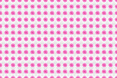 Raster Cosmos çiçekleri kusursuz desen. Beyaz bir arka planda kusursuz çiçek deseni.