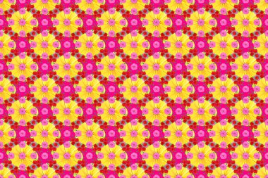 Kozmos çiçekleri ile optik illüzyon. Raster çizimi iç tasarım, baskı, web ve tekstil tasarımı için iyidir. Eflatun arkaplandaki çiçeklerin kusursuz dokusu..