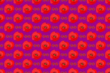 Kumaş, tekstil ve ambalaj kağıtları için dekoratif süs. Geleneksel doğulu desensiz şal deseni. Raster çizgili, pürüzsüz desenli, gelincik çiçekli. Mor arka planda çiçek duvar kağıdı.