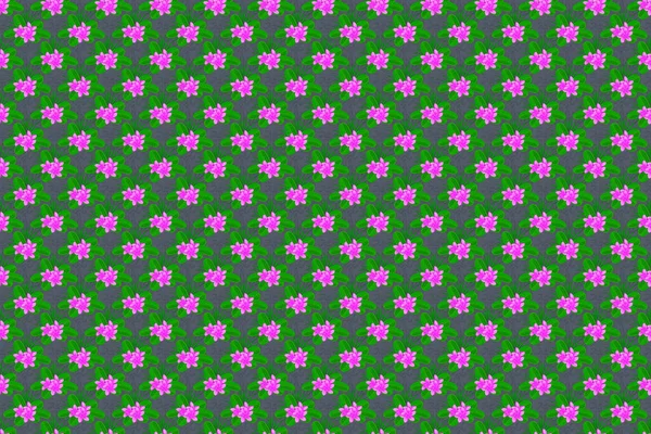 Seamless Floral Pattern Cute Plumeria Flowers Gray Background Raster Illustration — Stock Photo, Image