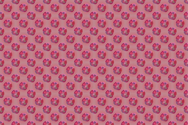 Raster Seamless Background Pattern Stylized Cosmos Flowers Leaves Pink Red — Stock Photo, Image