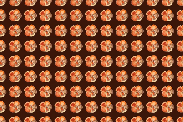 Rasterillustratie Naadloos Bloemenpatroon Oranje Gele Rode Kleuren Met Bonte Kosmos — Stockfoto