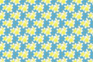 Plumeria çiçekleri kusursuz bir arka plan. Mavi, beyaz ve sarı renklerde soyut, sevimli çiçek deseni.