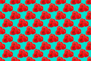 Mavi arka planda gelincik çiçekleri pürüzsüz desen oluşturuyor. Sevimli Raster çiçek arkaplanı.