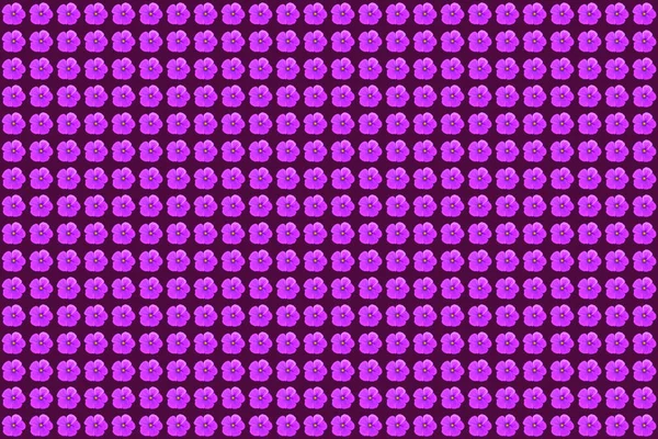 Estampado Moda Con Flores Cosmos Ditsy Acuarela Sobre Fondo Púrpura — Foto de Stock