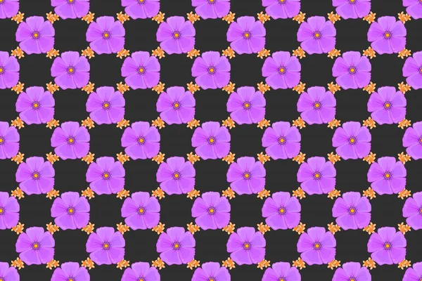 Patrón Floral Sin Costuras Sobre Fondo Gris Con Flores Cosmos — Foto de Stock