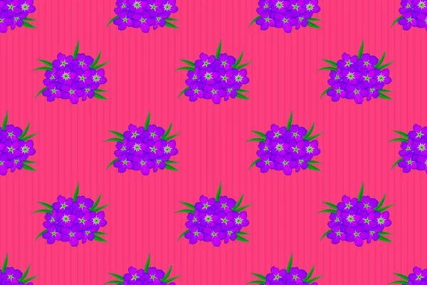 Cosmos Flowers Seamless Pattern Violet Pink Magenta Colors Cute Raster — Stock Photo, Image