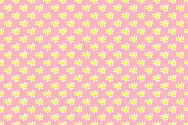 Romantisches Nahtloses Muster Mit Einem Aquarell Strauß Von Federblumen Den — Stockfoto
