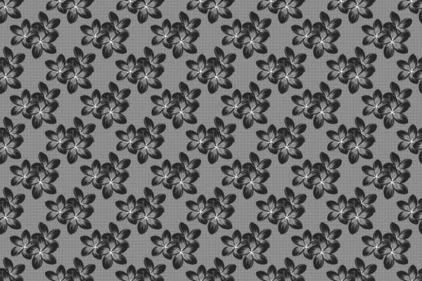 Colored orient pattern in black and gray colors. Seamless floral ornament. Modern plumeria flower pattern with royal plumerias.