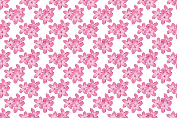 Beautiful Raster Texture Seamless Pattern Cute Plumeria Flowers Magenta Violet — Stock Photo, Image
