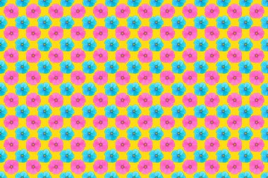 Raster çizgili, kozmos çiçekli, pürüzsüz desen. Geleneksel doğulu desensiz şal deseni. Sarı arka planda çiçek duvar kâğıdı. Kumaş, tekstil, ambalaj kağıdı için dekoratif süs.