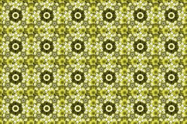 Renksiz çiçeksiz raster deseni.