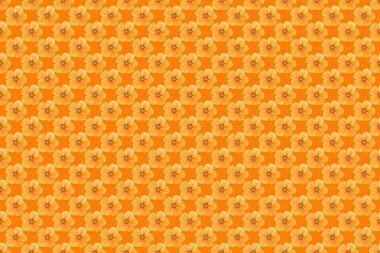 Kusursuz el yapımı Raster Kozmos deseni turuncu, sarı ve bej renkleriyle.