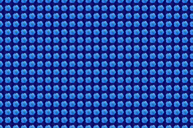 Kozmos çiçekleri ve mavi arka planda yaprakları olan pürüzsüz bir desen. Suluboya efektli çiçek arkaplanı. Yatak çarşafları, ceket, paket tasarımı, kumaş ve moda kavramları için tekstil baskısı.