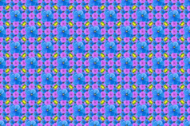 Dekoratif kozmos çiçekleri ve gri arka planda yaprakları olan kusursuz bir arka plan. Raster illüstrasyonu.