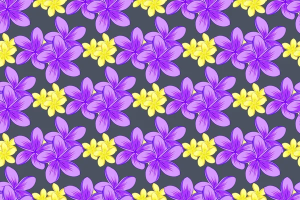 Nettes Raster Floralen Hintergrund Plumeria Blumen Nahtlose Muster Auf Einem — Stockfoto