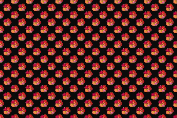 Растровый Космос Цветок Бесшовный Узор Розовом Оранжевом Красном Цветах — стоковое фото