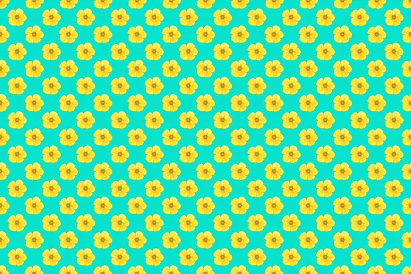 Płynny Wzór Dekoracyjnymi Latem Kosmos Kwiaty Kolorach Niebieskim Żółtym Pomarańczowym — Zdjęcie stockowe
