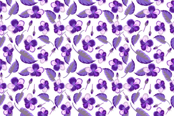 Fiori Ibisco Sfondo Bianco Colori Viola — Foto Stock