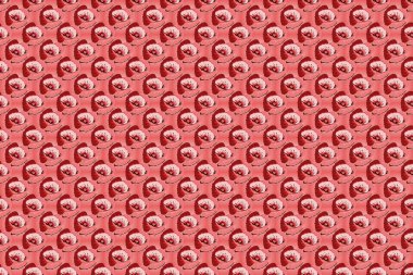 Haşhaş çiçekleri pembemsi ve kırmızı renklerde. Sevimli Raster çiçek arkaplanı.