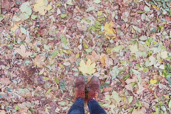 sonbahar yaprakları park üzerinde duran kadın 