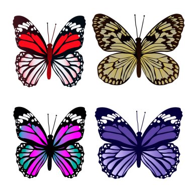 Renkli kelebekleri beyaz arkaplanda izole et. Vektör illüstrasyonu