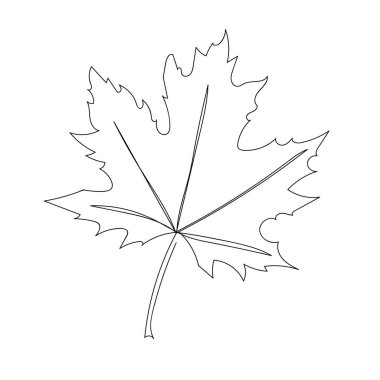 Vektör sonbahar yaprağı sürekli çizgi çizimi. Logo, simge, etiket.