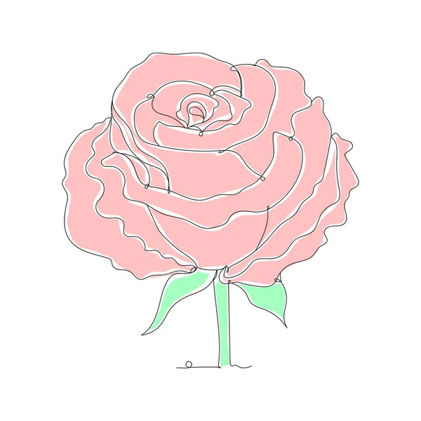 Rose Vaaleanpunainen Kukka Koriste Yhden Viivan Piirustus Vektoripiirroksen Jatkuva Piirros — vektorikuva