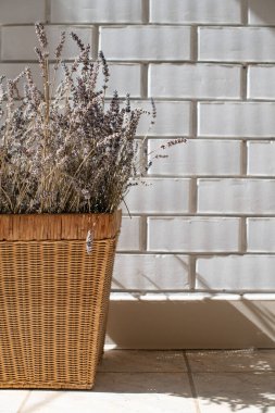 Beyaz tuğlalı arka planda hasır bir sepette kurutulmuş lavanta demeti. Çiçekli iç ve bahçe dekorasyonu. Aromaterapi tıbbi bitkiler
