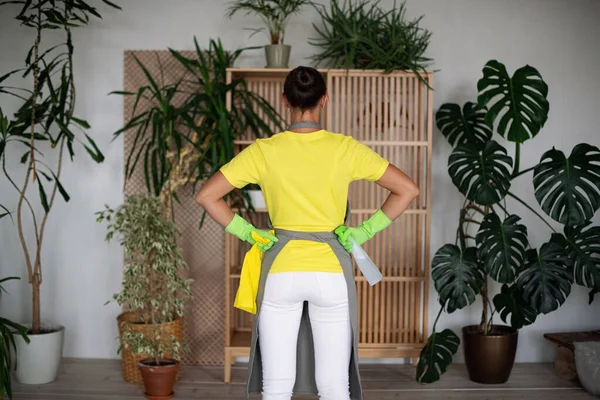 A maid in an apron, yellow rubber gloves and a yellow T-shirt stands with her back hands on hips. Holds a bottle of spray and a rag. Ready to go. Professional cleaning of premises and houses