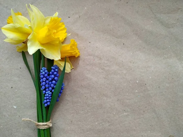 Seau de jonquilles jaunes et petites cloches bleues sur papier recyclé artisanal — Photo