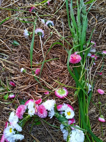 Ein Kranz aus weißen und rosa Gänseblümchen liegt auf einem Heuhaufen neben frisch gepflücktem langem Gras — Stockfoto