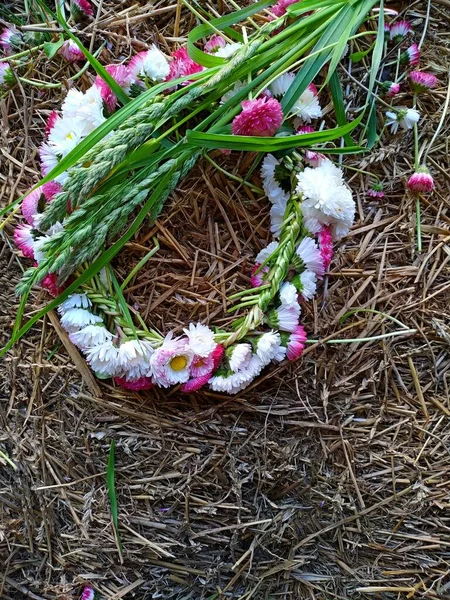 En krans av vita och rosa prästkragar på en höstack bredvid nyplockat gräs — Stockfoto