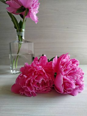 Hafif ahşap bir masada iki şakayık ve şeffaf bir vazoda duran şakayık.