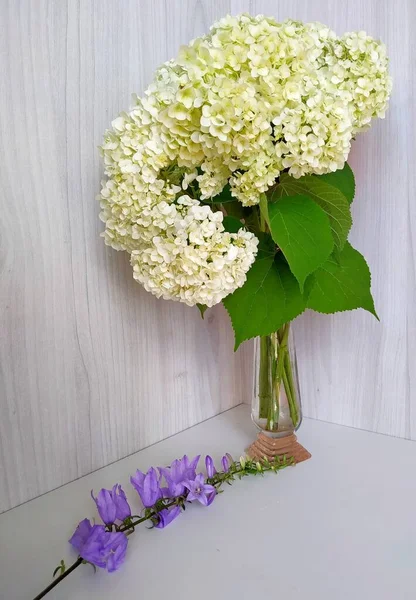 Un bouquet d'hortensia blanche dans un vase et des cloches violettes sur un fond clair — Photo