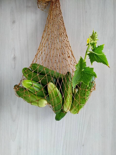 Gurken aus dem Garten in einer Saitentüte auf hellem Holz — Stockfoto