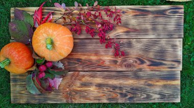Sonbahar renkleri. Rudbeckia düzlüğü, balkabakları, düşen yapraklar, böğürtlen ve elmalar