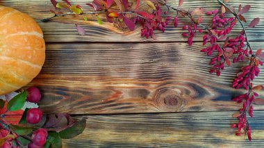 Sonbahar renkleri. Rudbeckia düzlüğü, balkabakları, düşen yapraklar, böğürtlen ve elmalar