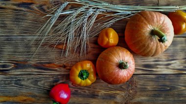 Hasat zamanı. Kabaklar, biberler ve tahtadan arka planda olgunlaşmış buğday başakları.