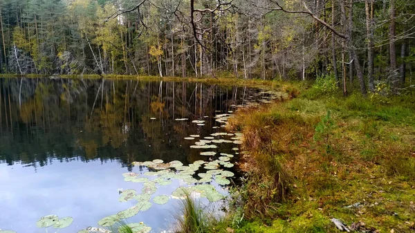 Leśne jezioro z odbitymi chmurami. Spokojny jesienny krajobraz — Zdjęcie stockowe