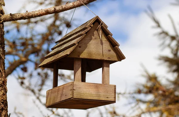 Baharda gökyüzüne karşı küçük kuş yuvası