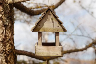 Baharda gökyüzüne karşı küçük kuş yuvası