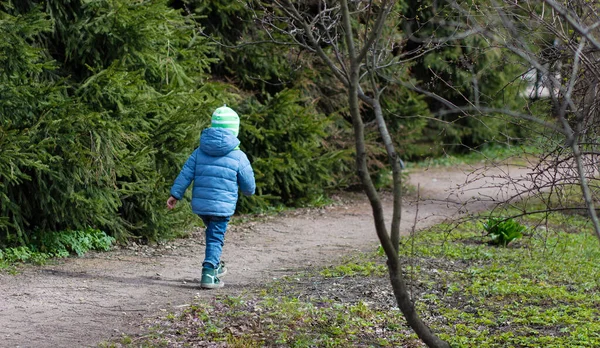Günlük giysiler içinde bir çocuk bir patika boyunca yürüyor, bir orman yolu..