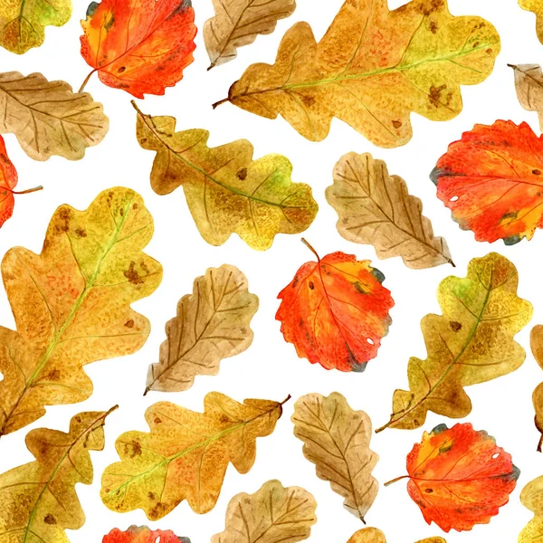 Textura perfecta de la acuarela caída de roble y hojas de álamo. Estampado de otoño brillante con elementos naturales —  Fotos de Stock