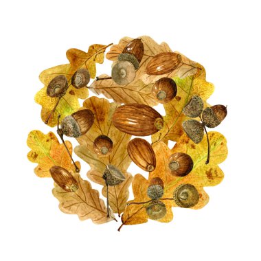 Sonbahar Meşe yaprağı ve meşe palamutları suluboya desen. Parlak yuvarlak baskı doğal elemanları ile düşmek