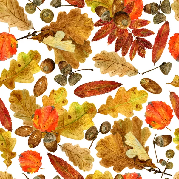 Naadloze textuur van aquarel fall eik, rowan, aspen bladeren en eikels. Heldere herfst print met natuurlijke elementen — Stockfoto