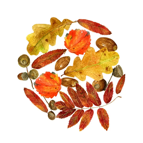 Patrón de acuarela de hojas de otoño y bellotas. Impresión redonda de otoño brillante con elementos naturales —  Fotos de Stock